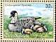 Nene Branta sandvicensis  1998 Endangered species 4v set