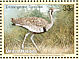 Black-bellied Bustard Lissotis melanogaster