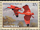 Scarlet Ibis Eudocimus ruber  2003 Endangered species 