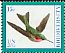 Ruby-throated Hummingbird Archilochus colubris