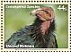 California Condor Gymnogyps californianus