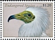 Egyptian Vulture Neophron percnopterus  2020 Endangered species 4v set