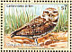 Burrowing Owl Athene cunicularia  1998 Endangered species 4v set