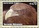 White-tailed Eagle Haliaeetus albicilla  2011 Endangered species 