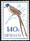 Fork-tailed Flycatcher Tyrannus savana  1962 Birds 