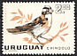 Rufous-collared Sparrow Zonotrichia capensis  1963 Birds 