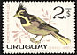 Yellow Cardinal Gubernatrix cristata  1963 Birds 