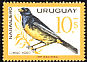 Blue-and-yellow Tanager Rauenia bonariensis  1963 Birds 