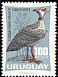 Southern Screamer Chauna torquata  1966 Birds 
