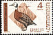 White-faced Whistling Duck Dendrocygna viduata  1968 Birds 
