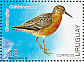Red Knot Calidris canutus  1996 Capex 96  MS