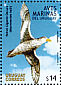 Northern Giant Petrel Macronectes halli  2004 Seabirds 