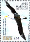 Black-browed Albatross Thalassarche melanophris