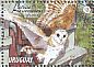 American Barn Owl Tyto furcata  2015 Owls Sheet