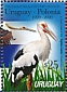 Maguari Stork Ciconia maguari  2020 Diplomatic relations Uruguay-Poland Sheet