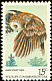 Northern Saw-whet Owl Aegolius acadicus  1978 Wildlife conservation 