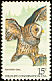 Barred Owl Strix varia  1978 Wildlife conservation 
