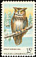 Great Horned Owl Bubo virginianus  1978 Wildlife conservation 