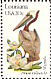 Brown Pelican Pelecanus occidentalis  1982 State birds and flowers 50v sheet, p 10½x11
