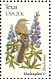 Northern Mockingbird Mimus polyglottos  1982 State birds and flowers 50v sheet, p 11