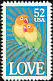 Fischer's Lovebird Agapornis fischeri