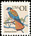American Kestrel Falco sparverius  1991 Birds 