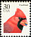 Northern Cardinal Cardinalis cardinalis  1991 Birds 
