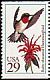 Ruby-throated Hummingbird Archilochus colubris  1992 Hummingbirds 