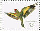 Thick-billed Parrot Rhynchopsitta pachyrhyncha