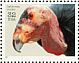 California Condor Gymnogyps californianus  1996 Endangered species 15v sheet