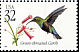 Green-throated Carib Eulampis holosericeus  1998 Tropical birds 