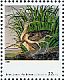 Long-billed Curlew Numenius americanus  1998 American paintings 20v sheet