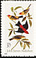 Scarlet Tanager Piranga olivacea  2002 Audubon sa