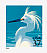 Snowy Egret Egretta thula  2004 Snowy Egret Booklet, sa