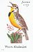 Western Meadowlark Sturnella neglecta  2014 Songbirds Booklet, sa