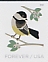 Black-capped Chickadee Poecile atricapillus  2018 Winter birds 5x4v booklet, sa