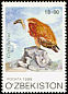 Griffon Vulture Gyps fulvus  1999 Birds of prey 