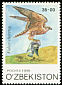 Saker Falcon Falco cherrug  1999 Birds of prey 