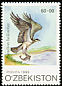 Western Osprey Pandion haliaetus  1999 Birds of prey 