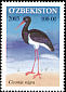 Black Stork Ciconia nigra  2003 Birds 