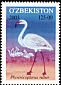 Greater Flamingo Phoenicopterus roseus  2003 Birds 