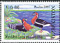 Red-breasted Goose Branta ruficollis