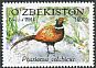 Common Pheasant Phasianus colchicus  2015 Tashkent Zoo 3v set