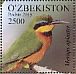 Little Bee-eater Merops pusillus  2016 Gissarsk nature reserve  MS