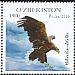 White-tailed Eagle Haliaeetus albicilla  2016 Tashkent Zoo 3v set