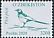 Eurasian Magpie Pica pica  2020 Birds definitives 