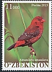 Red Avadavat Amandava amandava  2023 Birds 