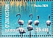 Greater Flamingo Phoenicopterus roseus
