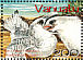 Red-tailed Tropicbird Phaethon rubricauda  2004 Tropicbirds of Vanuatu Sheet