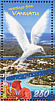White Tern Gygis alba  2008 Greetings  MS